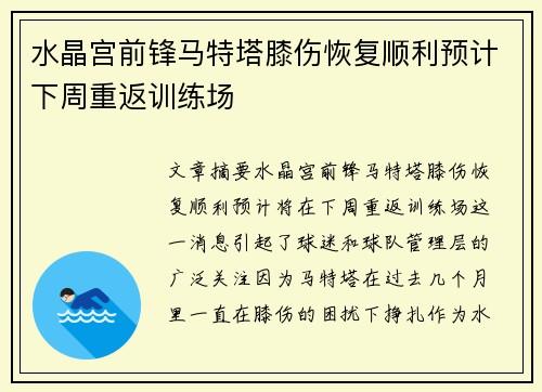 水晶宫前锋马特塔膝伤恢复顺利预计下周重返训练场