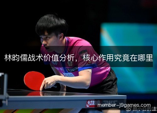 林昀儒战术价值分析，核心作用究竟在哪里